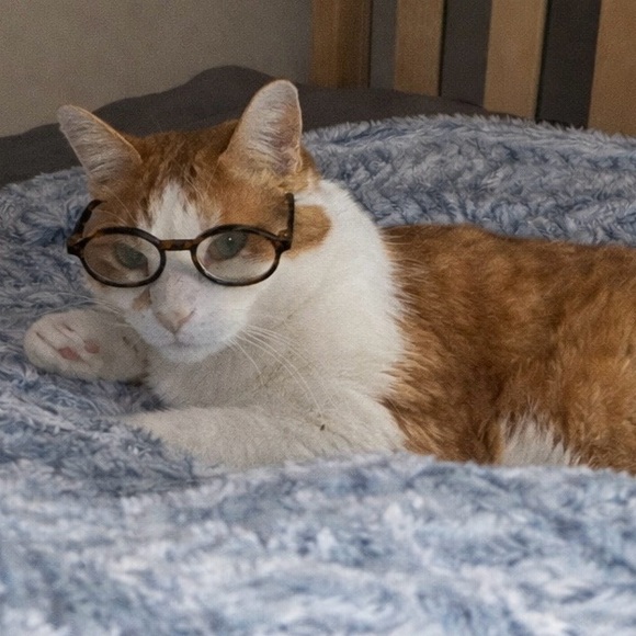 Fjunk- Sam- Saima is live! ๐๐ฉต๐
Come share your WOW!
Live show notification! - Picture 10 of 10